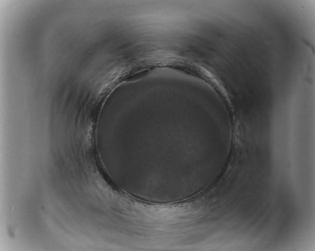 X0000102230018200808011235