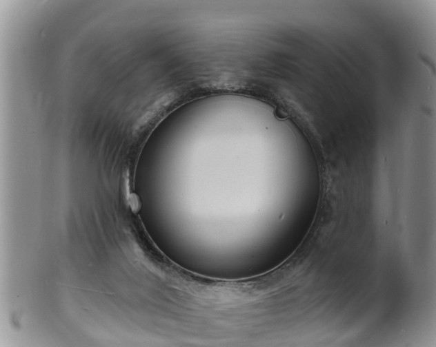 X0000102230020200808011235