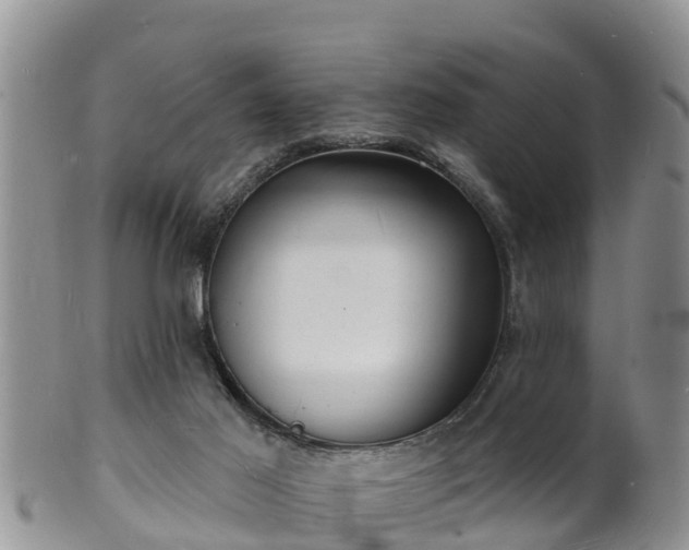 X0000102230021200808011235