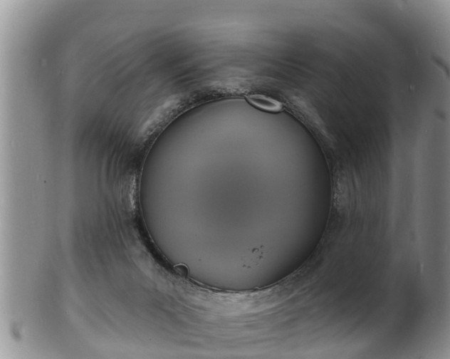 X0000102230023200808011235