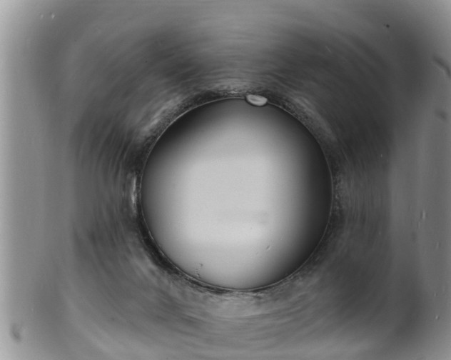 X0000102230024200808011235