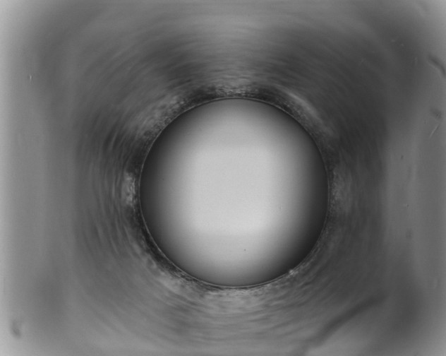 X0000102230025200808011235