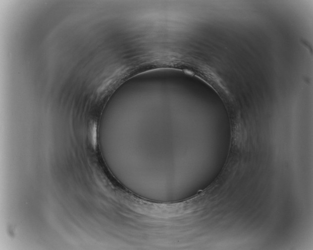 X0000102230027200808011235