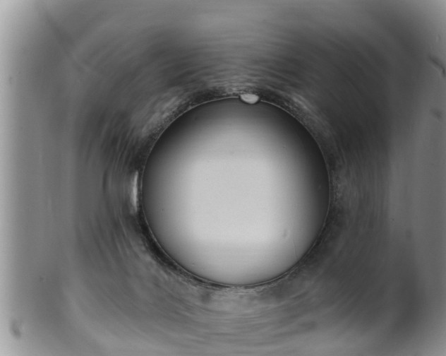 X0000102230028200808011235