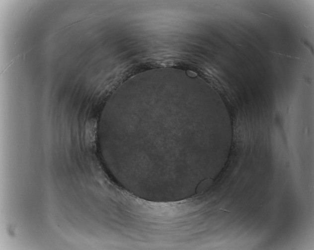 X0000102230030200808011235