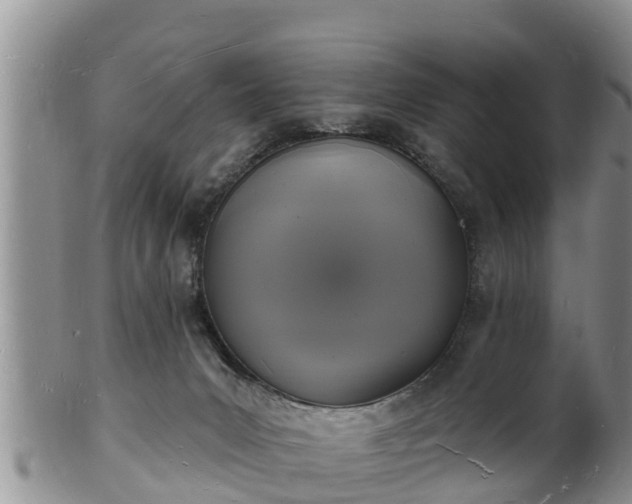 X0000102230031200808011235