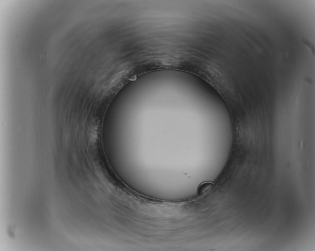 X0000102230032200808011235