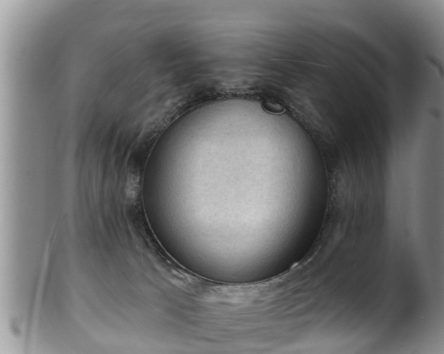 X0000102230033200808011235