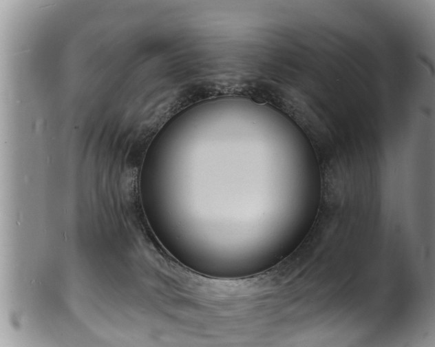 X0000102230034200808011235