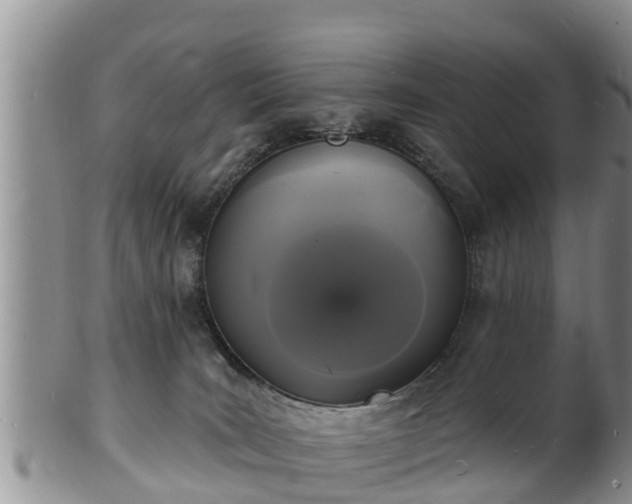 X0000102230035200808011235