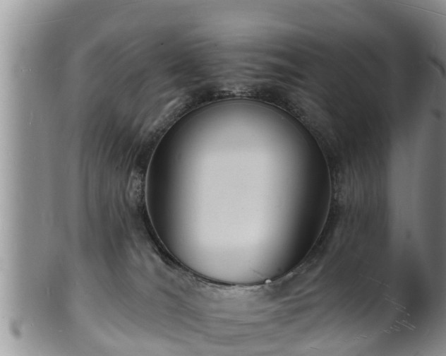 X0000102230036200808011235