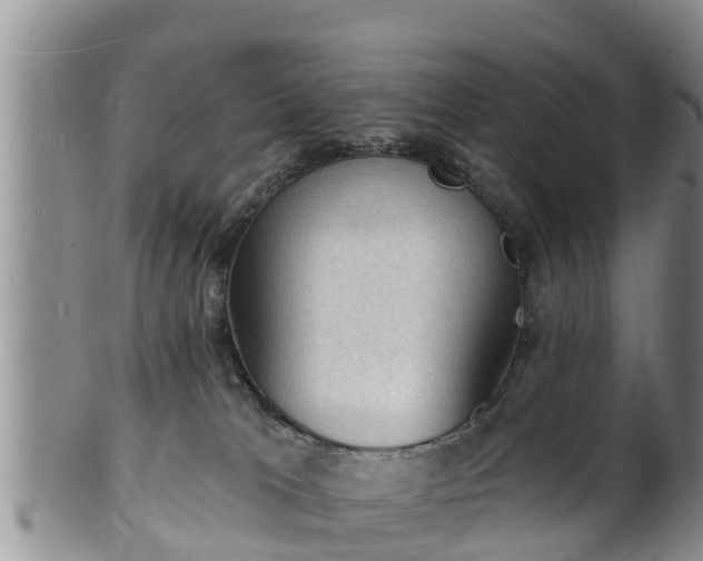 X0000102230037200808011235