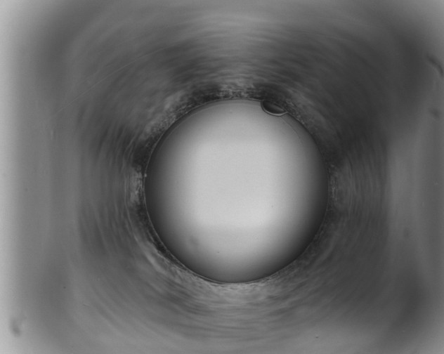 X0000102230038200808011235