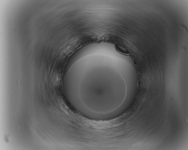 X0000102230039200808011235