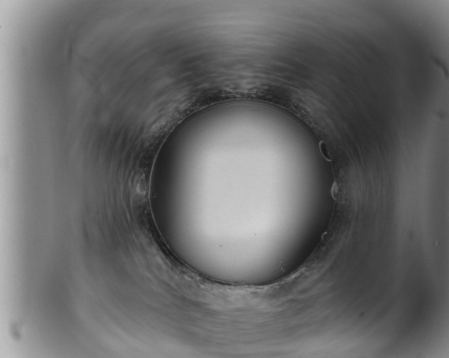 X0000102230040200808011235