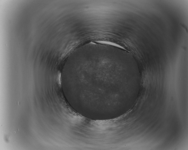 X0000102230041200808011235