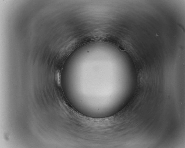 X0000102230042200808011235