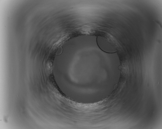 X0000102230043200808011235