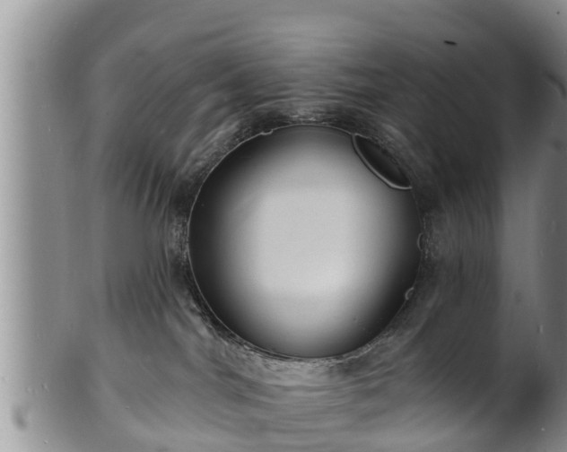 X0000102230044200808011235