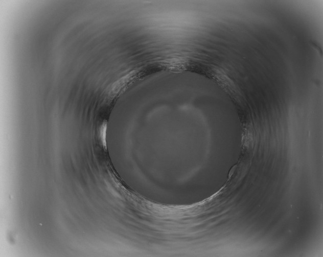 X0000102230047200808011235