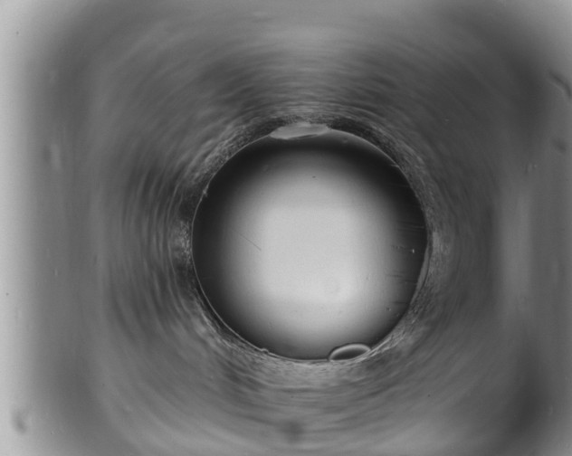 X0000102230048200808011235