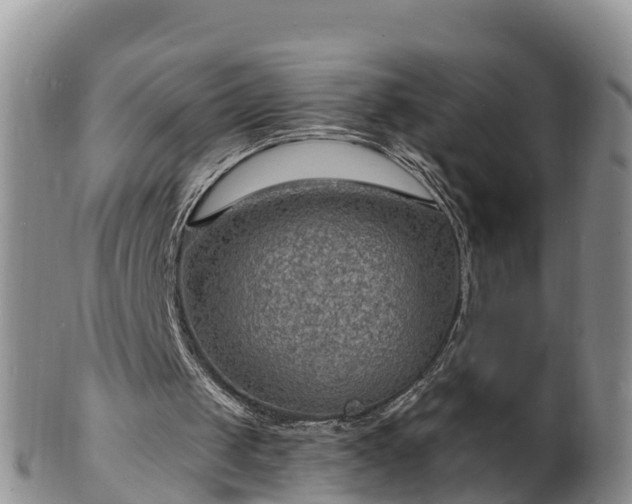 X0000102230049200808011234