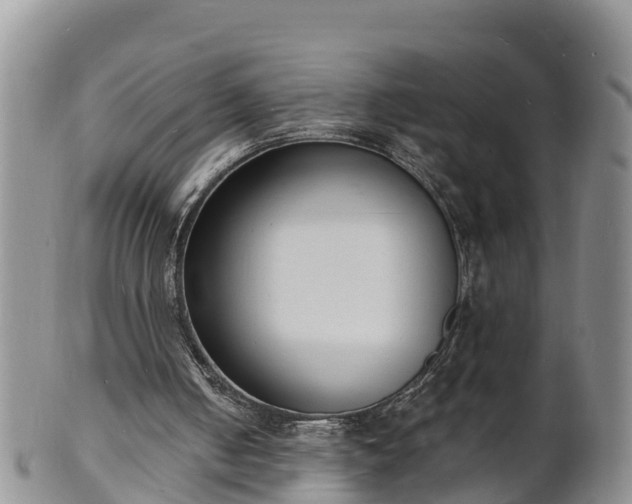 X0000102230050200808011234