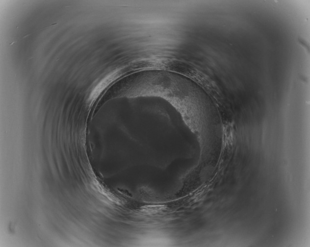X0000102230051200808011234