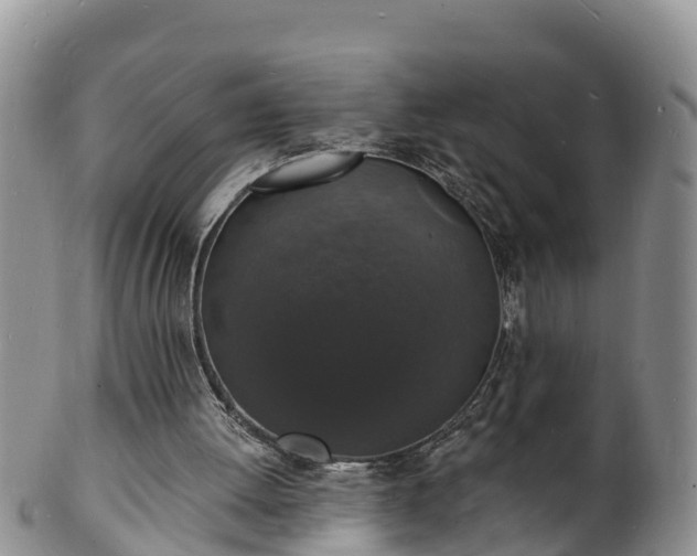 X0000102230052200808011234