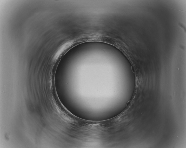 X0000102230054200808011234