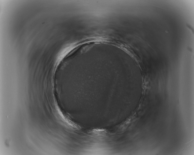 X0000102230055200808011234
