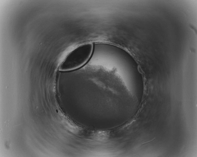 X0000102230056200808011234