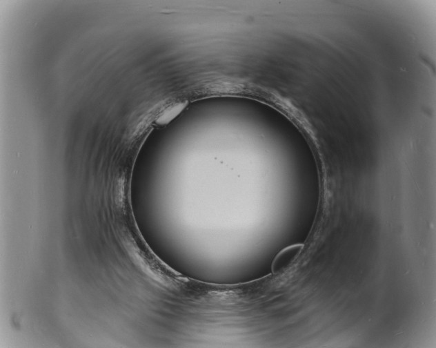 X0000102230057200808011234