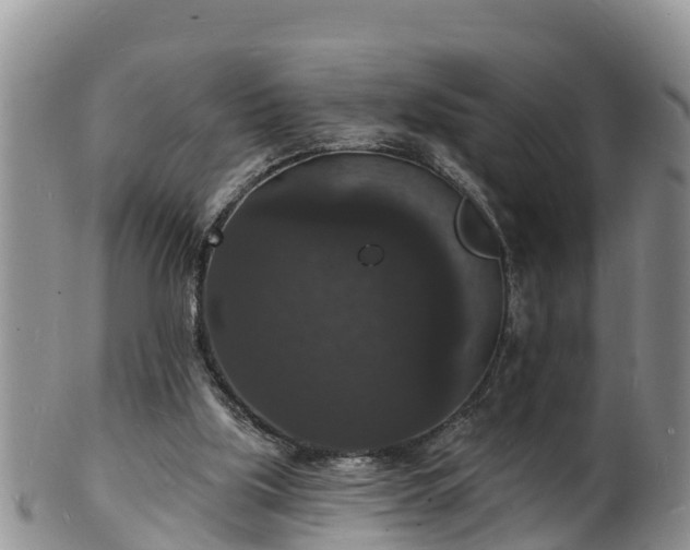 X0000102230059200808011234