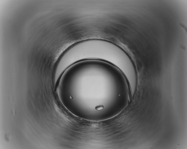 X0000102230060200808011234