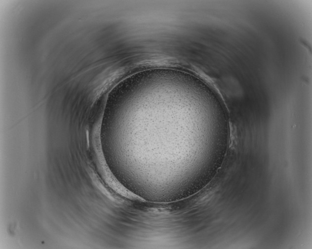 X0000102230061200808011234