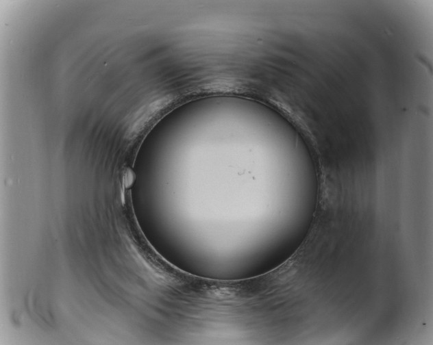 X0000102230062200808011234