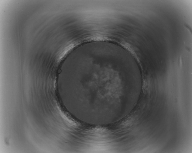 X0000102230063200808011234