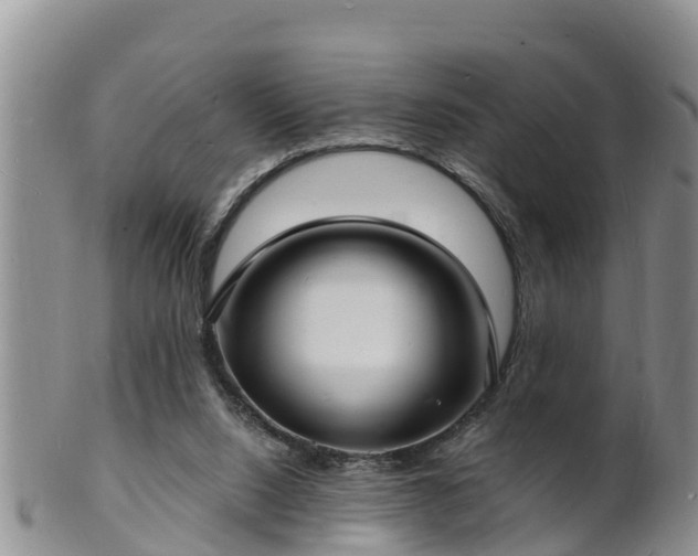 X0000102230064200808011234