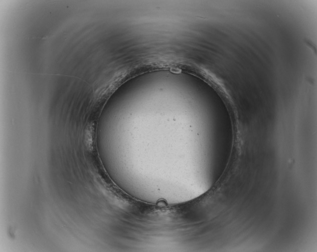 X0000102230065200808011234