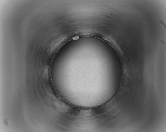 X0000102230066200808011234
