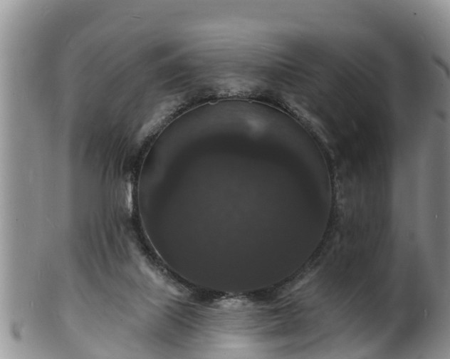 X0000102230067200808011234