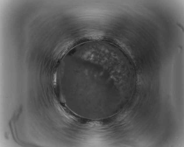 X0000102230069200808011234