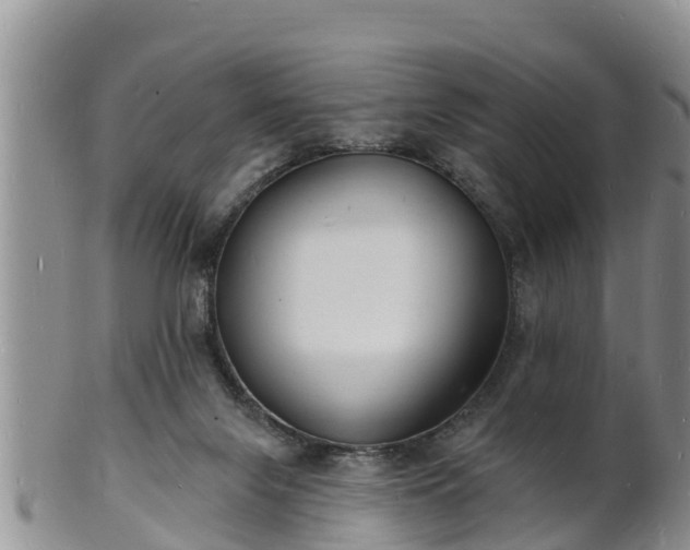 X0000102230071200808011234