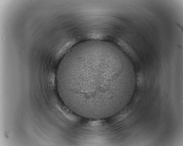 X0000102230072200808011234