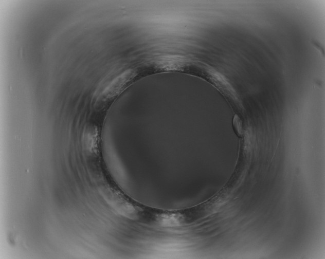 X0000102230073200808011234
