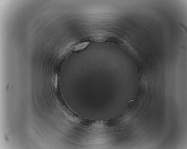 X0000102230076200808011234