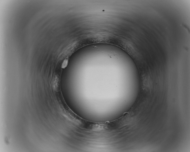 X0000102230077200808011234