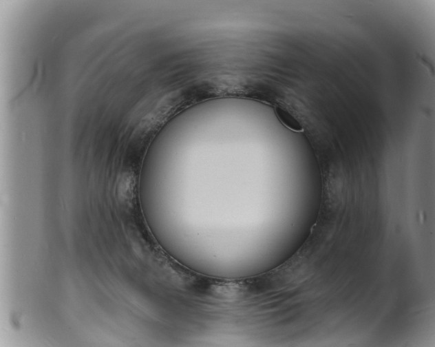 X0000102230079200808011234