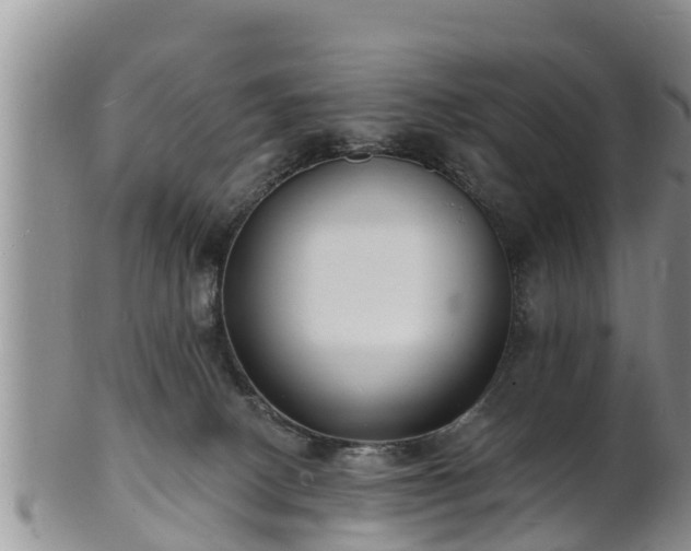 X0000102230082200808011235